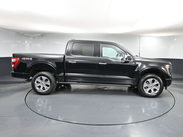 2023 Ford F-150 Platinum photo 3