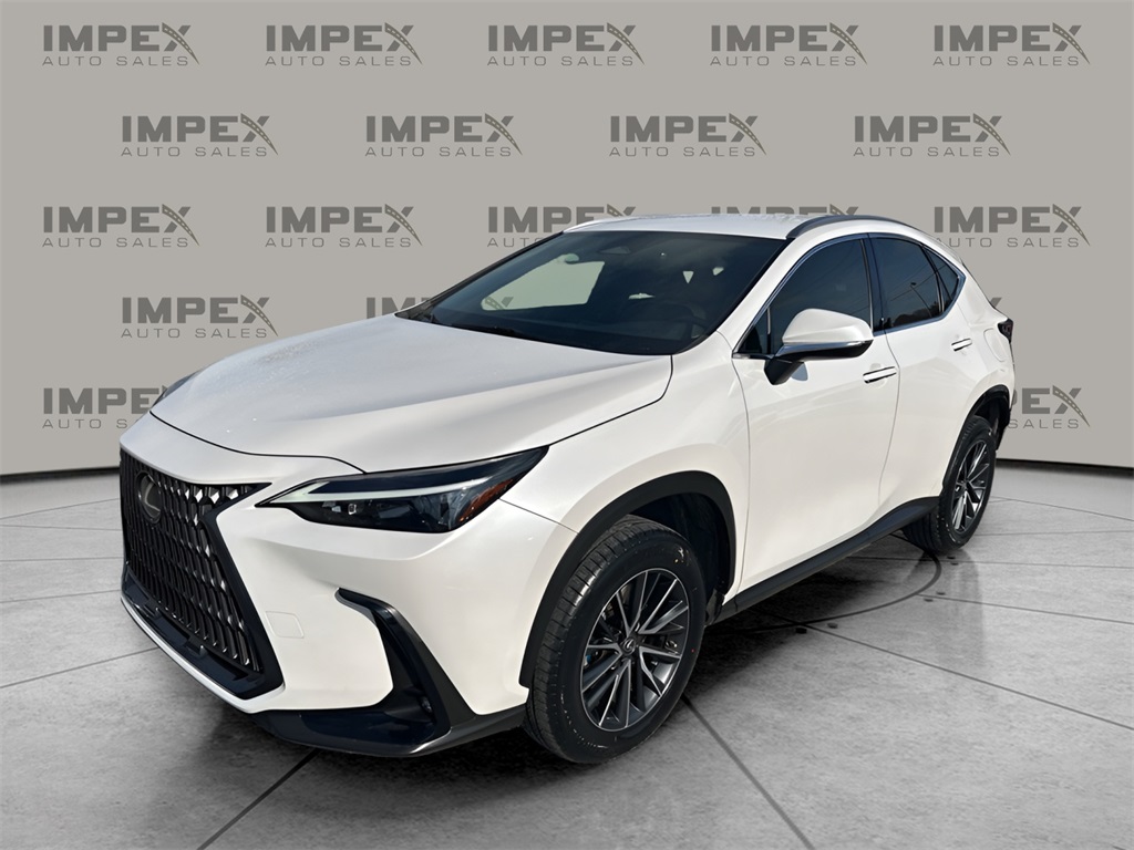 2022 Lexus NX 250's photo