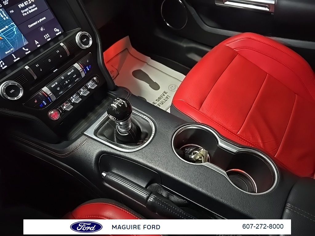 2019 Ford Mustang GT Premium photo 23