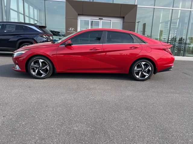 2022 Hyundai Elantra Limited photo 3