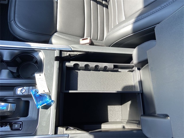 2025 Ford F-150 Platinum photo 11