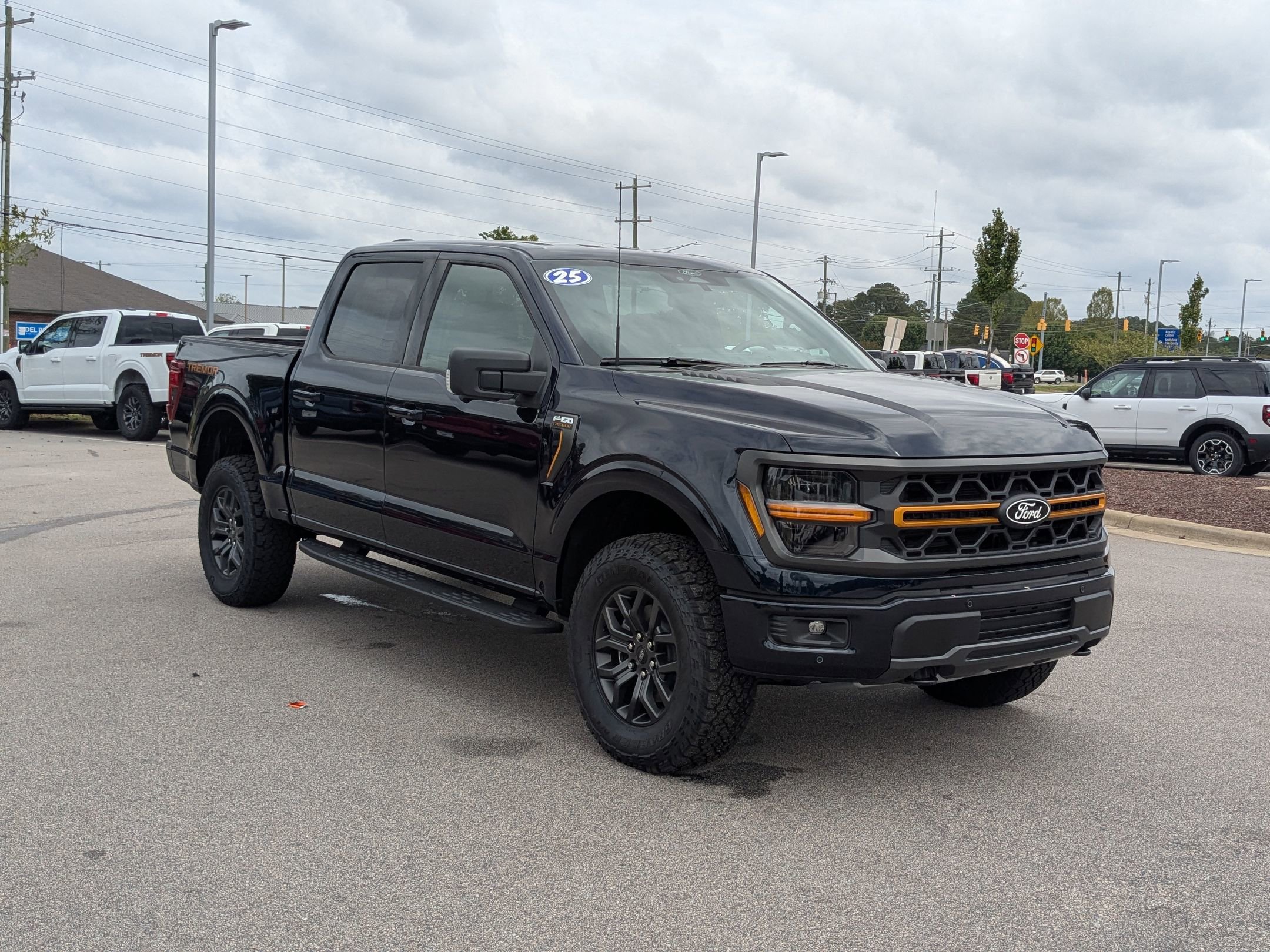 2025 Ford F-150 Tremor photo 3