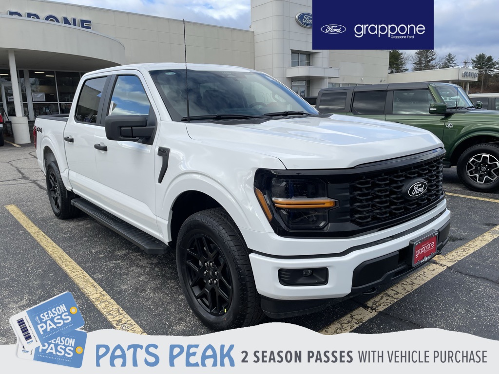 2025 Ford F-150 STX's photo