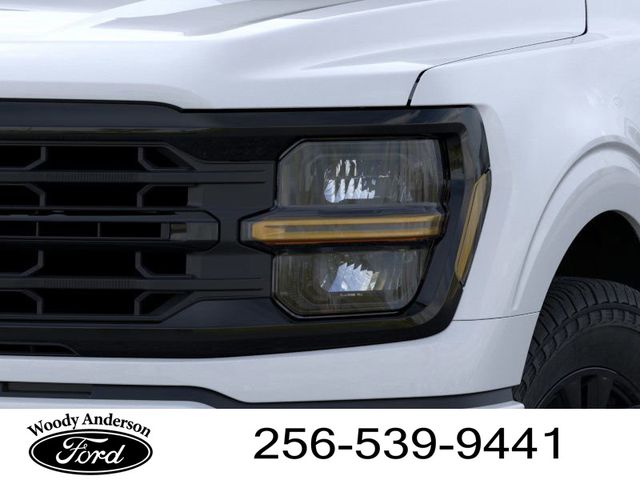 2025 Ford F-150 XLT photo 15