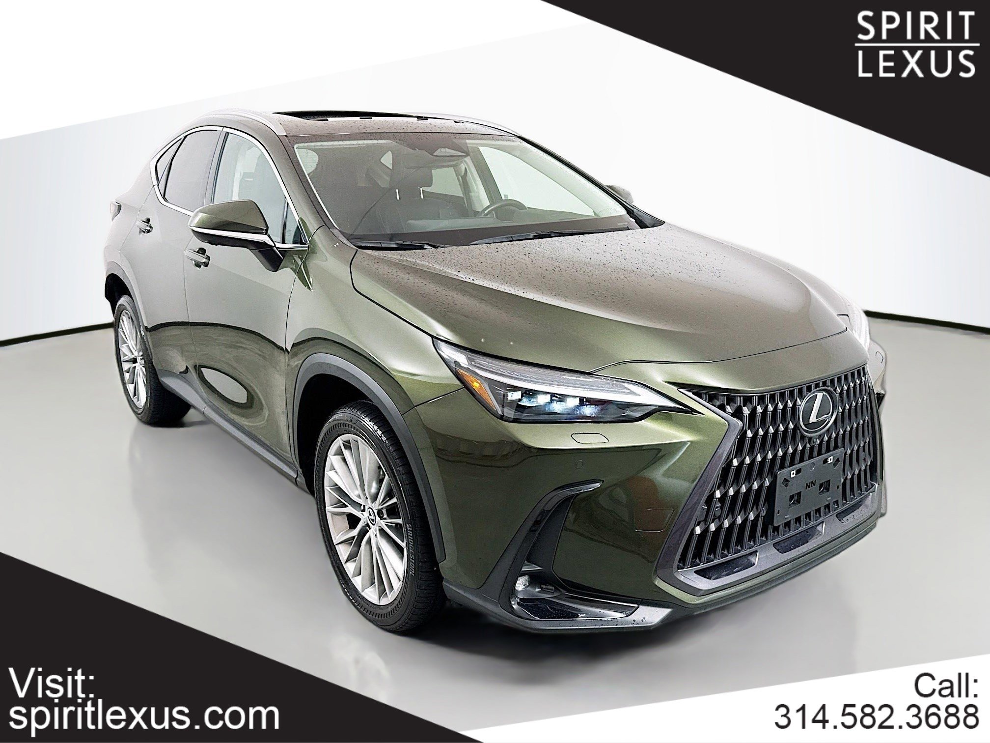 2024 Lexus NX 350's photo