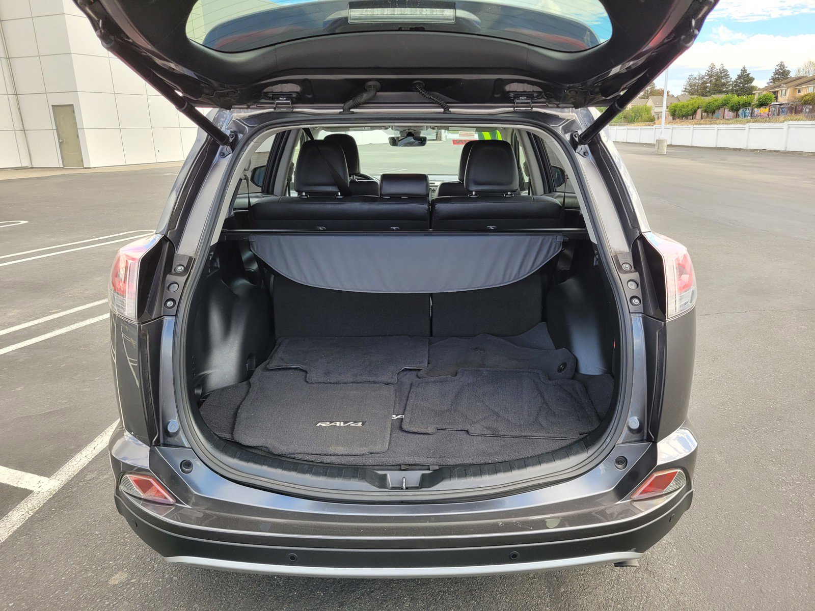 2017 Toyota RAV4 Limited Platinum photo 3