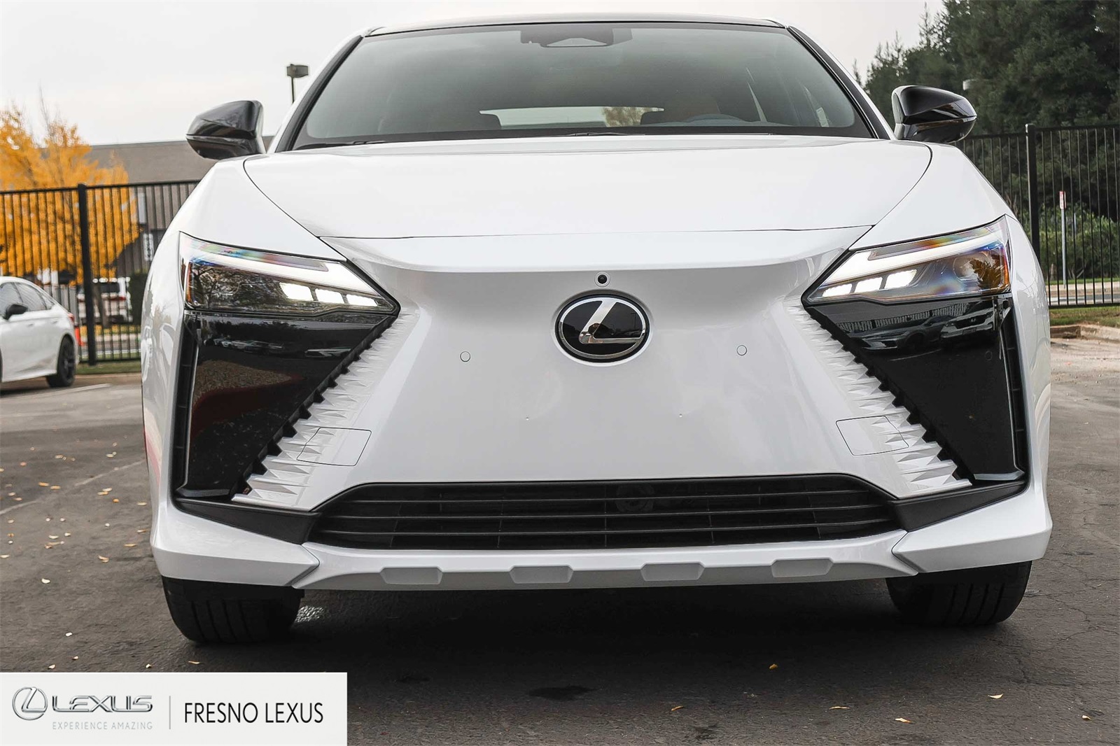 2026 Lexus RZ Premium photo 2