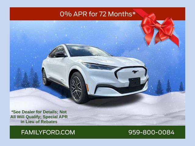 2025 Ford Mustang Mach-E Premium AWD's photo