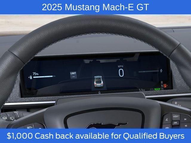 2025 Ford Mustang Mach-E GT photo 11