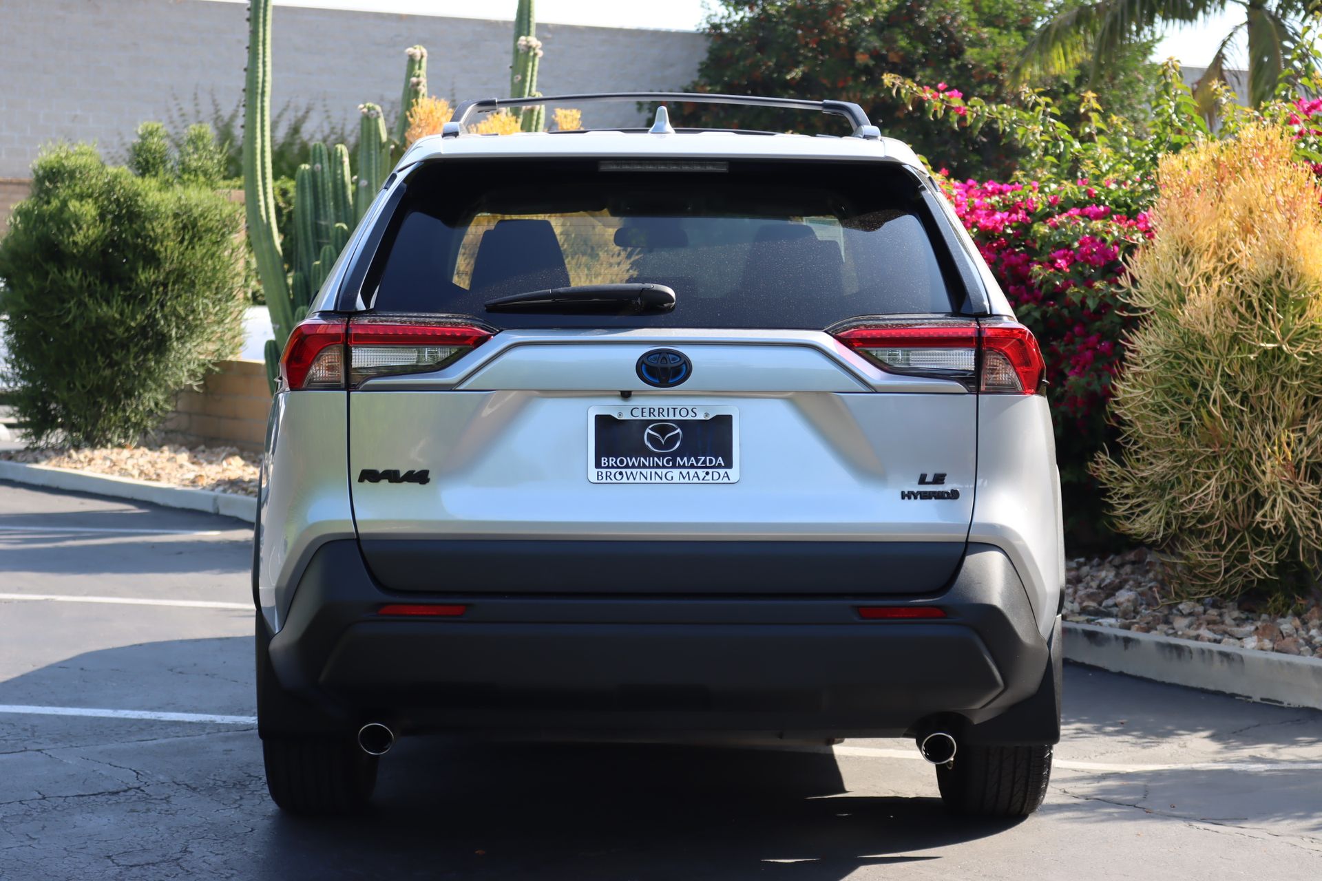 2024 Toyota RAV4 Hybrid LE photo 4