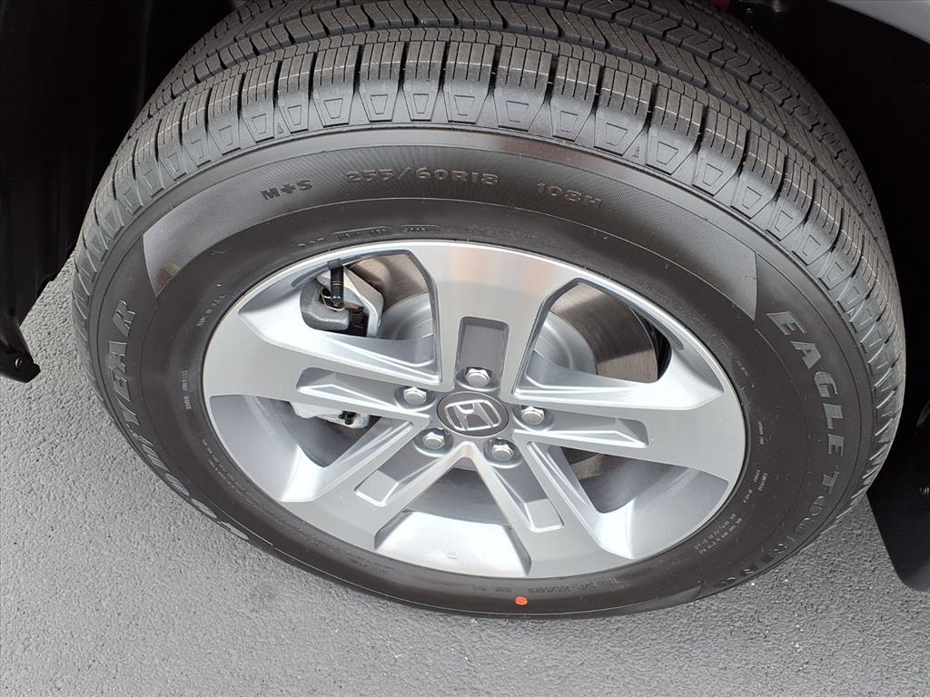 2025 Honda Pilot EX-L photo 16