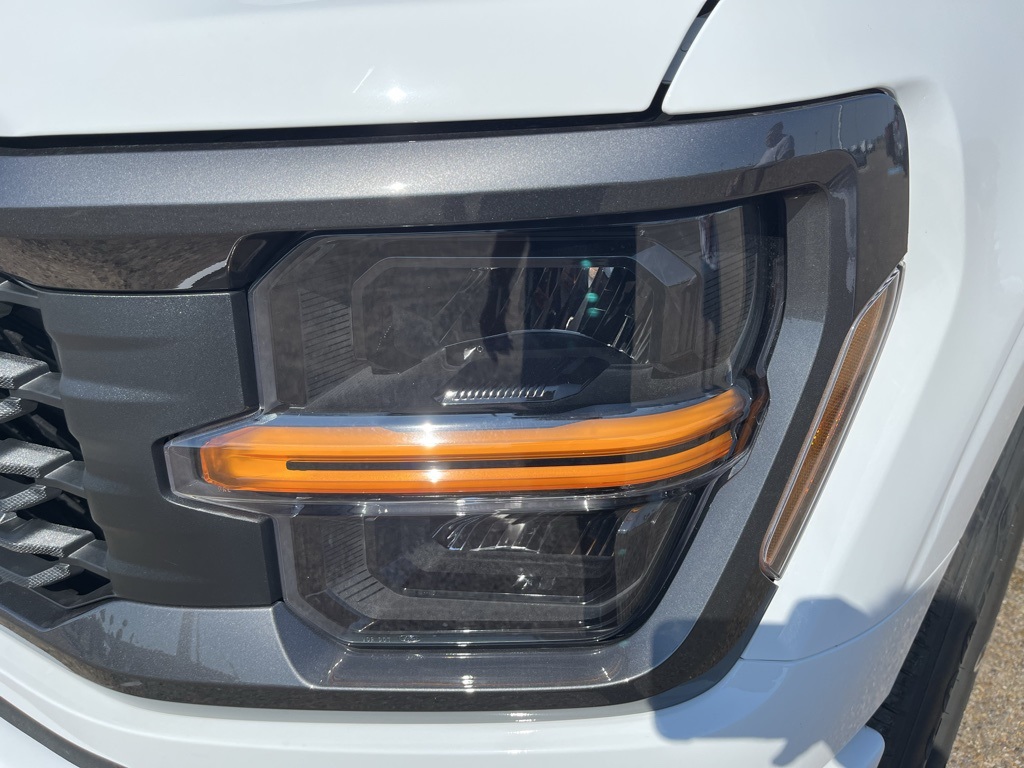 2025 Ford F-150 STX photo 7