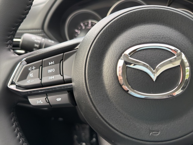 2025 Mazda CX-5 2.5 S Preferred photo 20