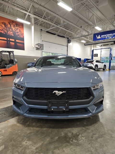 2024 Ford Mustang EcoBoost photo 3