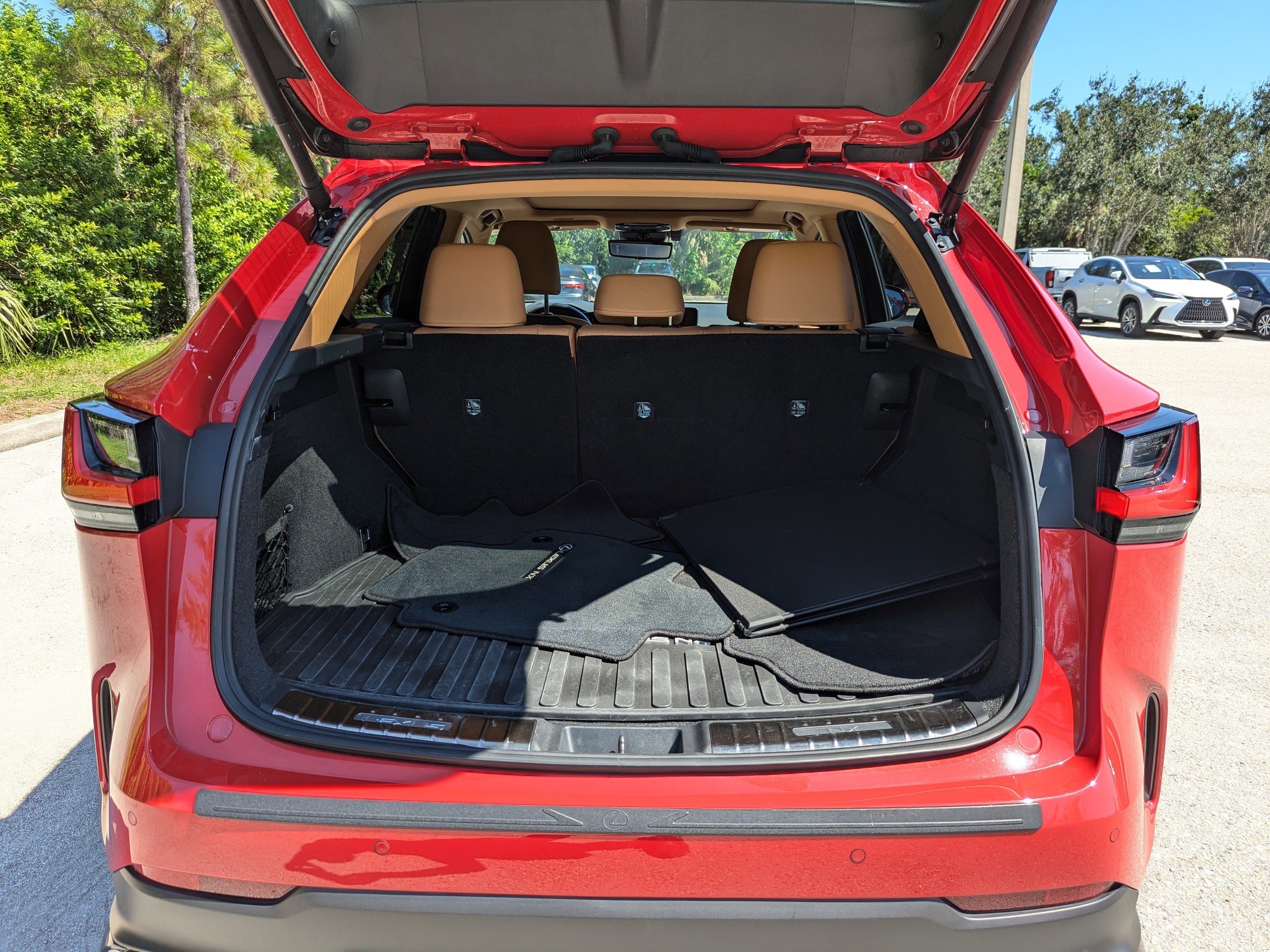 2025 Lexus NX 350h Luxury photo 11