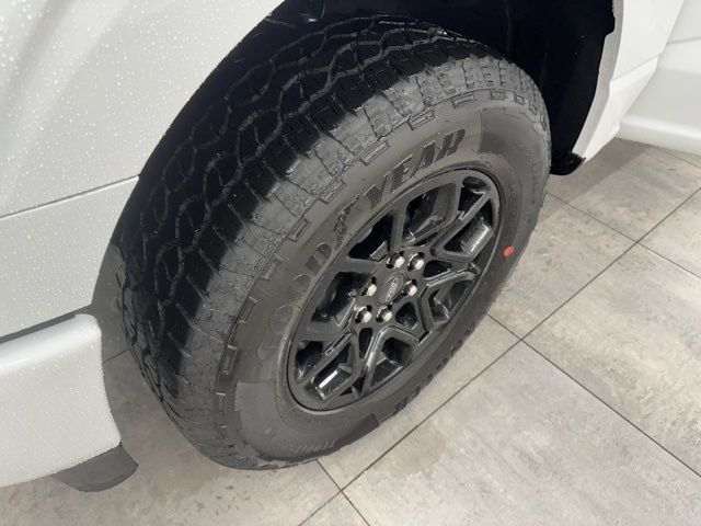 2025 Ford F-150 STX photo 25
