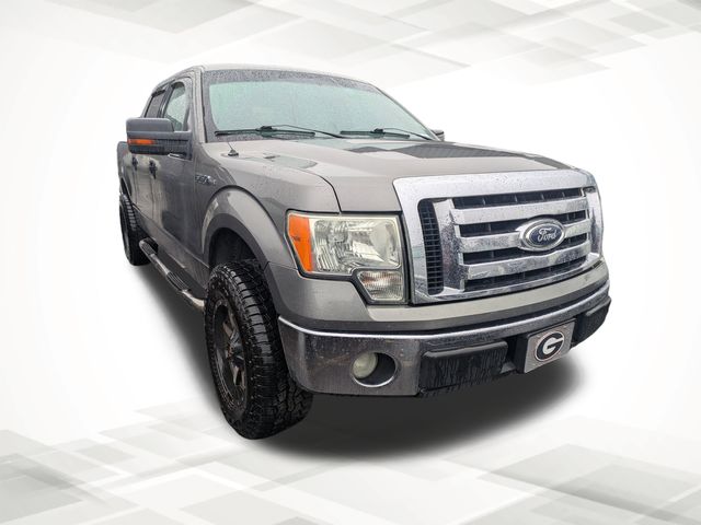 2009 Ford F-150 photo 2