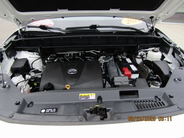 View 31