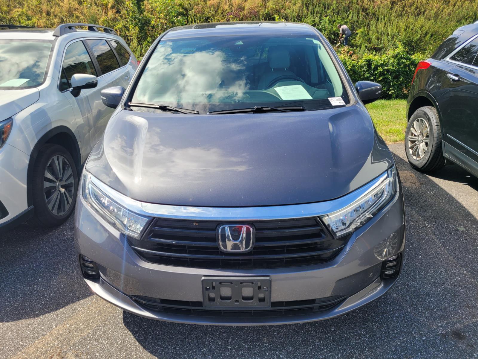 2023 Honda Odyssey Elite photo 2