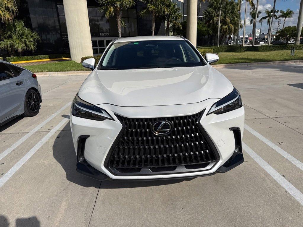 2024 Lexus NX 250 photo 4