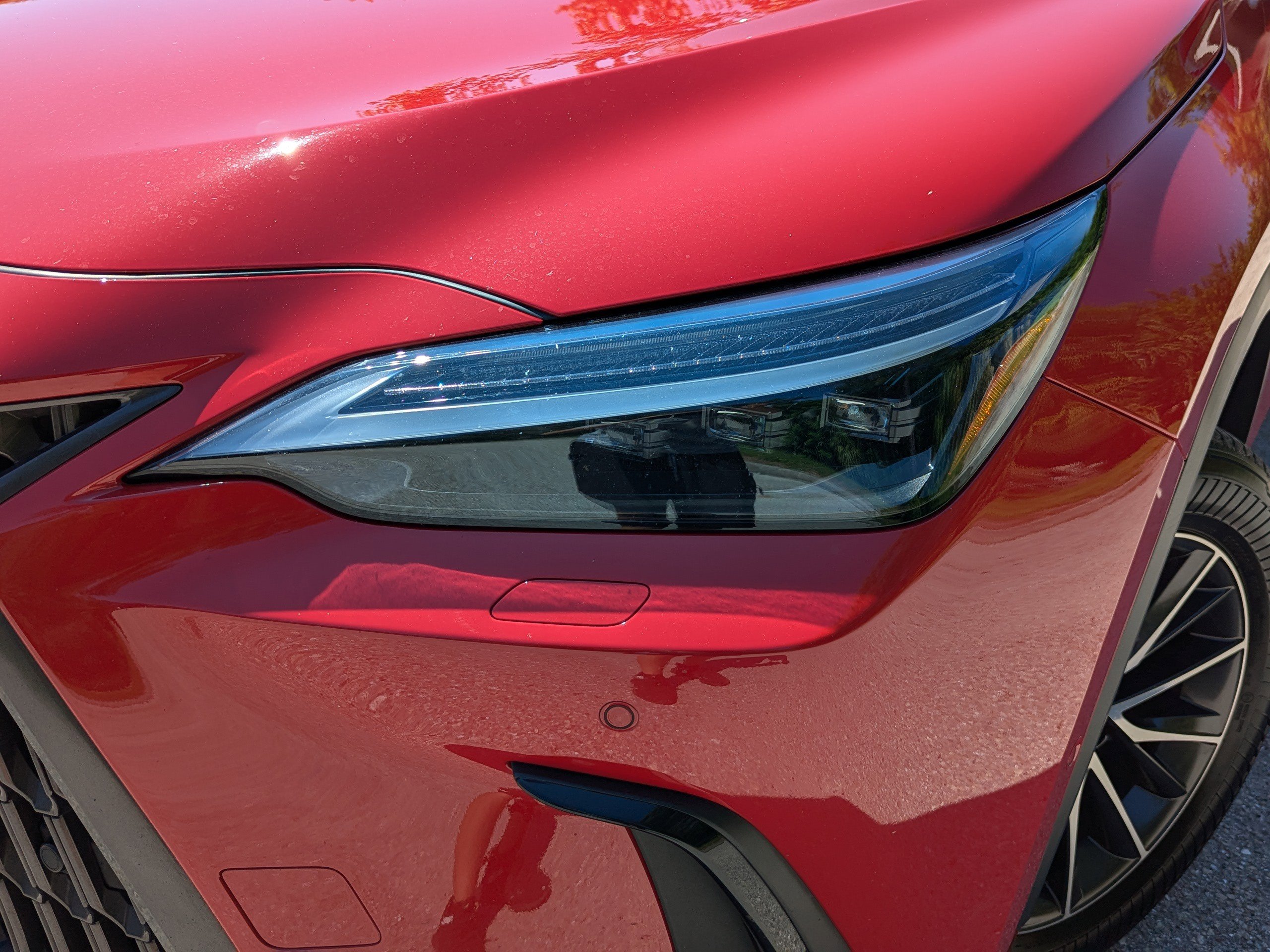 2025 Lexus NX 350h Luxury photo 9