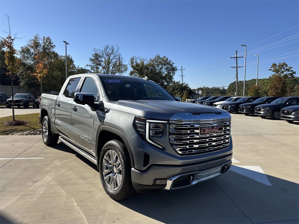 2024 Gmc Sierra 1500 Denali photo 3