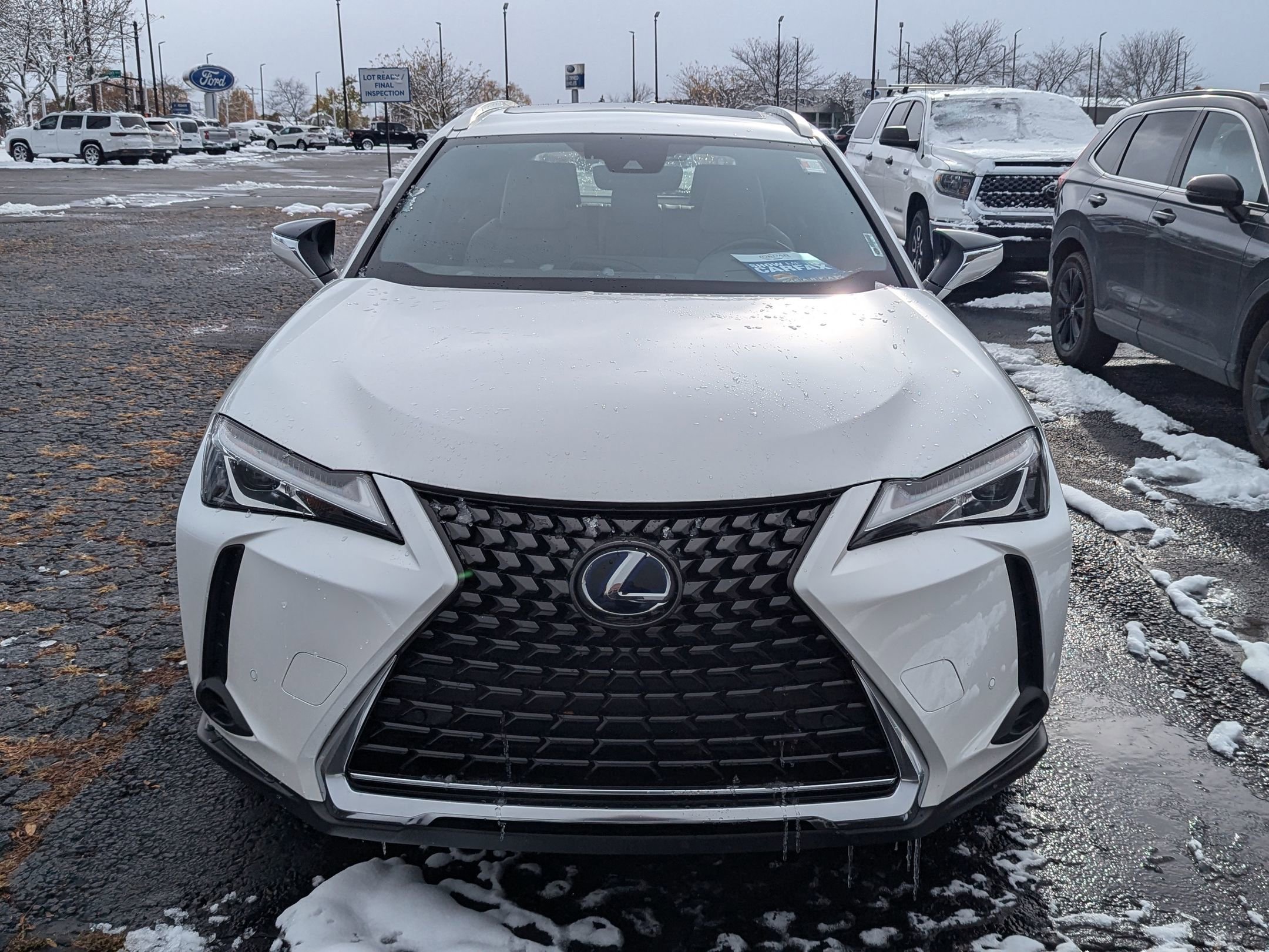 2019 Lexus UX 250h photo 4