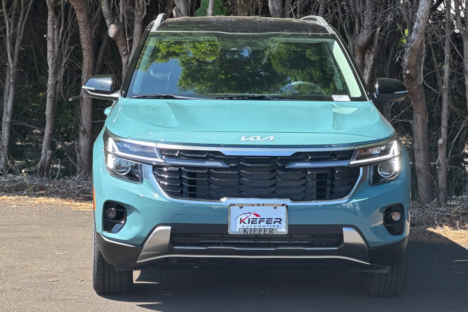 2026 Kia Seltos S photo 5