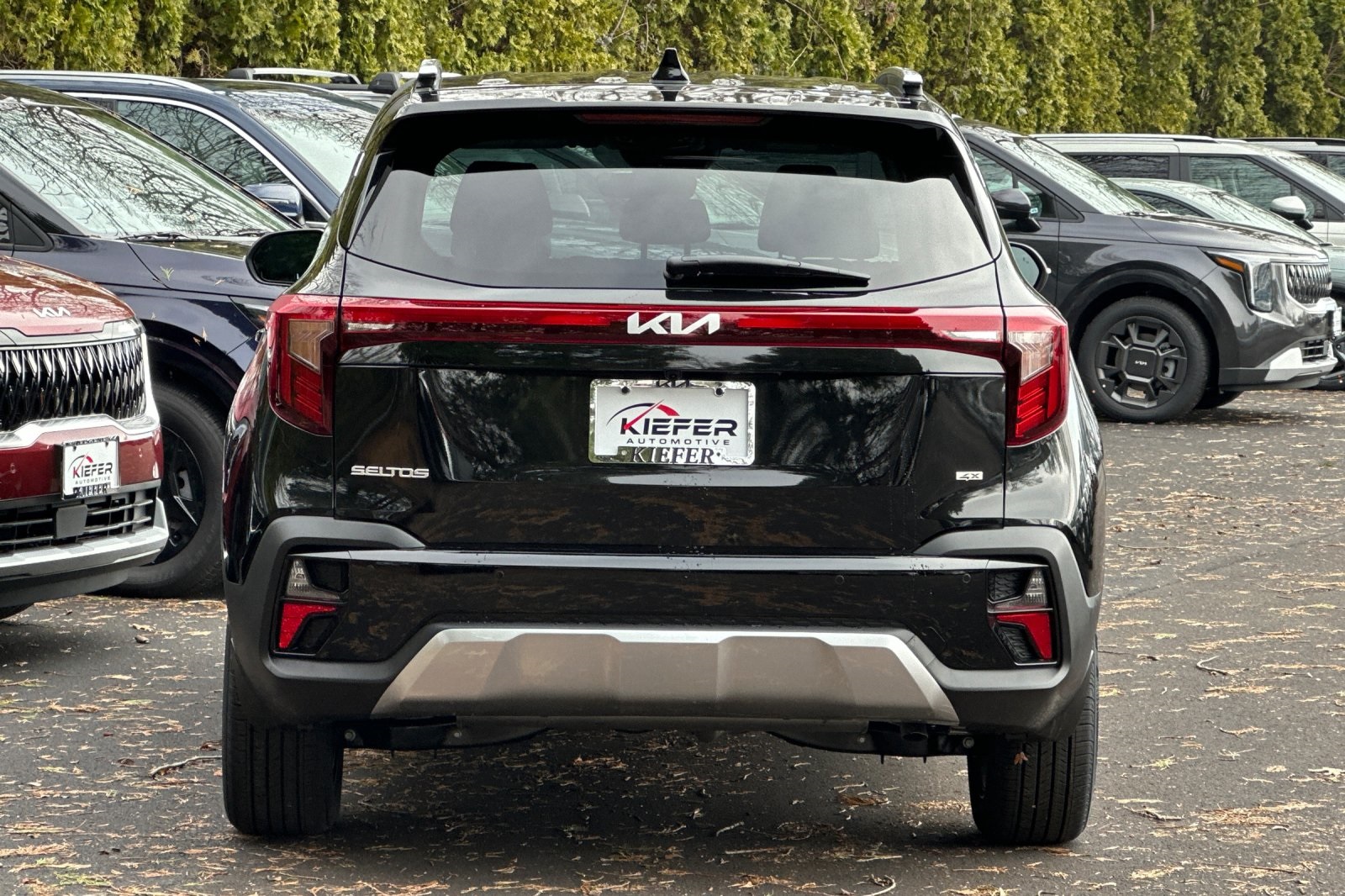2025 Kia Seltos EX photo 3