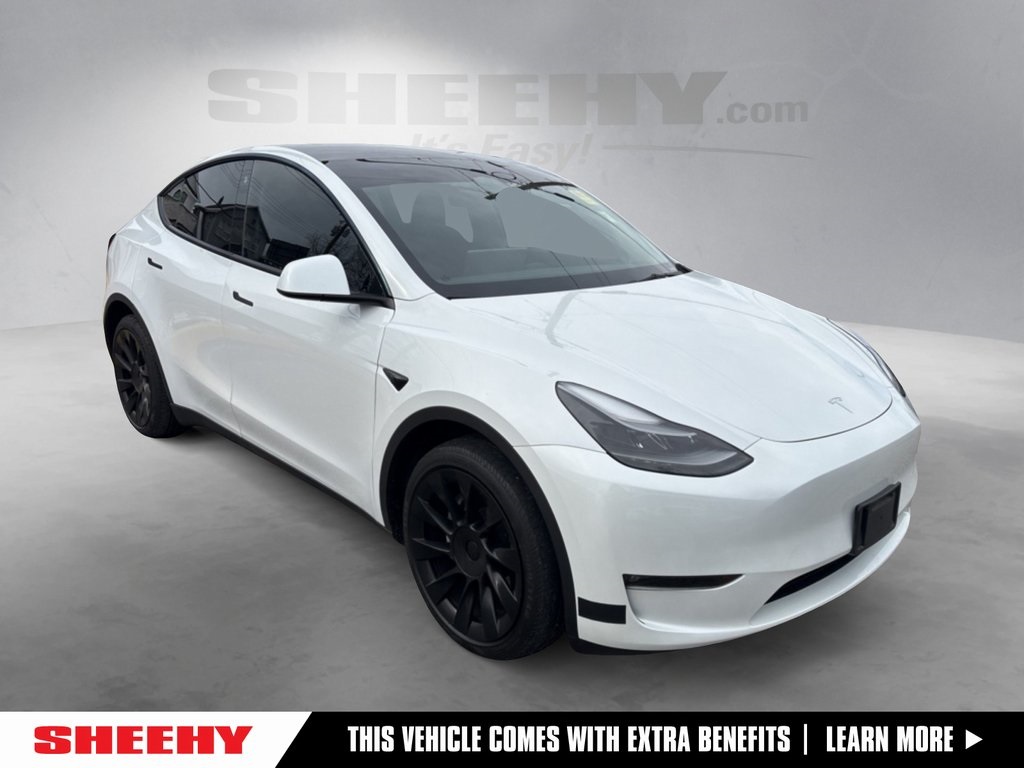 2023 Tesla Model Y Long Range's photo