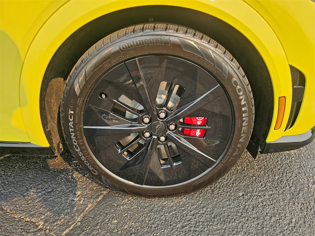 2025 Ford Mustang Mach-E GT photo 9