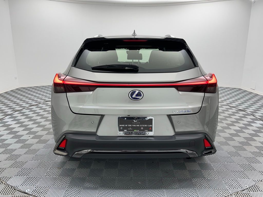 2022 Lexus UX 250h F SPORT photo 5