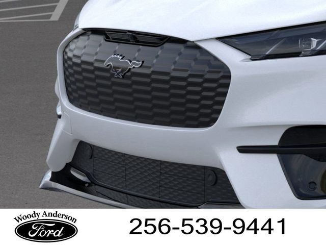 2025 Ford Mustang Mach-E GT photo 12