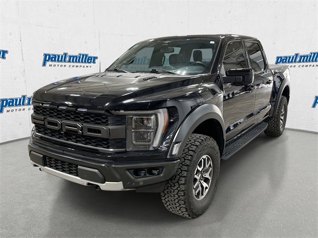 2023 Ford F-150 Raptor's photo