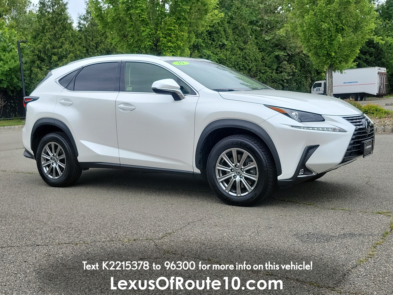 2019 Lexus NX 300's photo