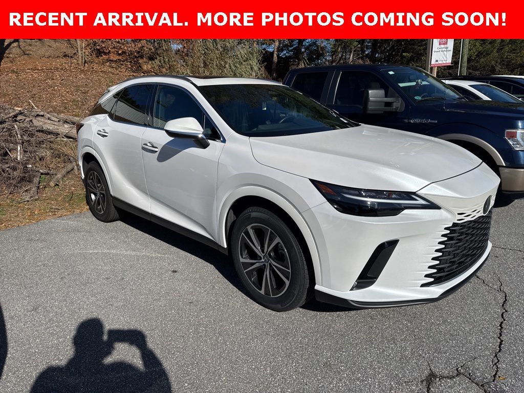 2024 Lexus RX 350's photo