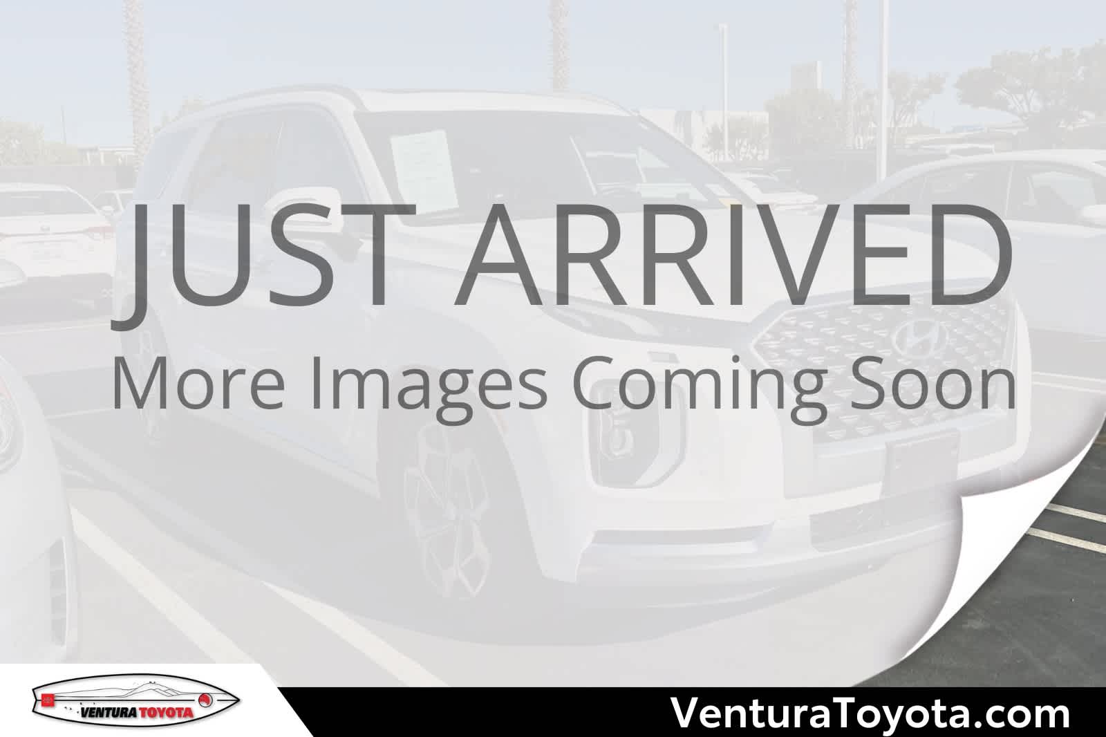 2021 Hyundai Palisade Calligraphy's photo