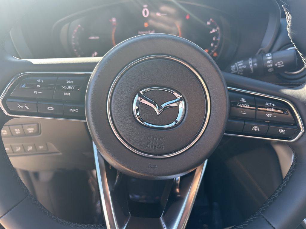 2025 Mazda CX-90 3.3 Turbo Premium Plus photo 19