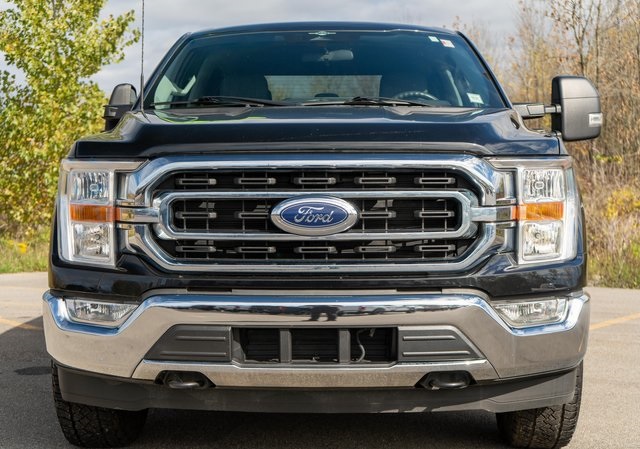 2023 Ford F-150 XLT photo 3