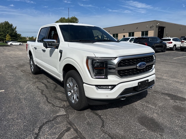2023 Ford F-150 Platinum photo 3