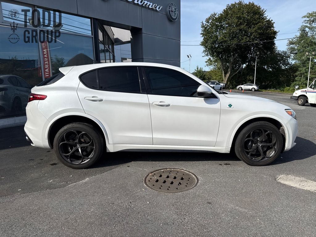2018 Alfa Romeo Stelvio Quadrifoglio photo 6