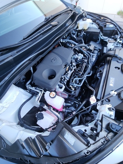 2023 Toyota Sienna XLE photo 19