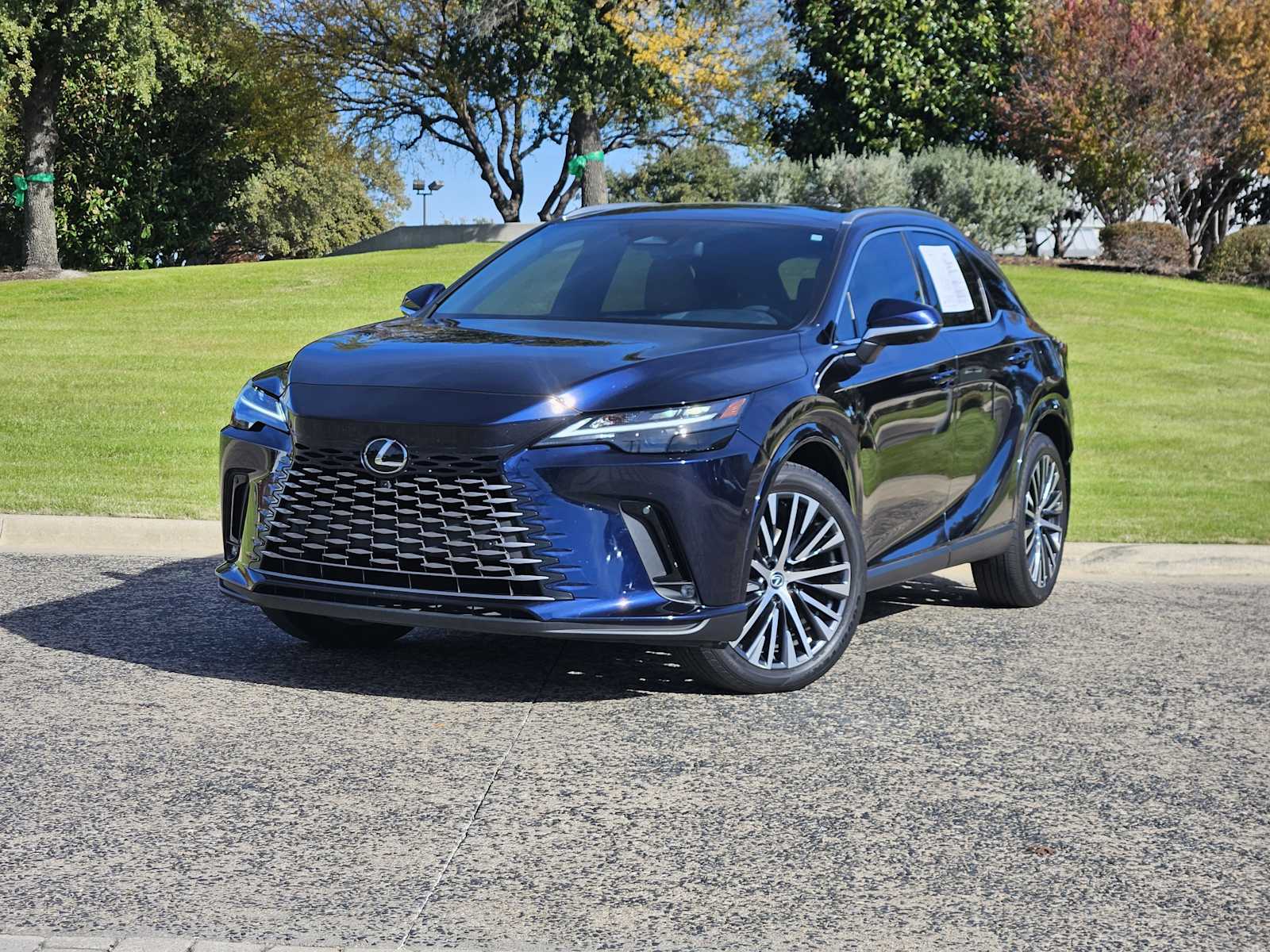 2023 Lexus RX 350's photo