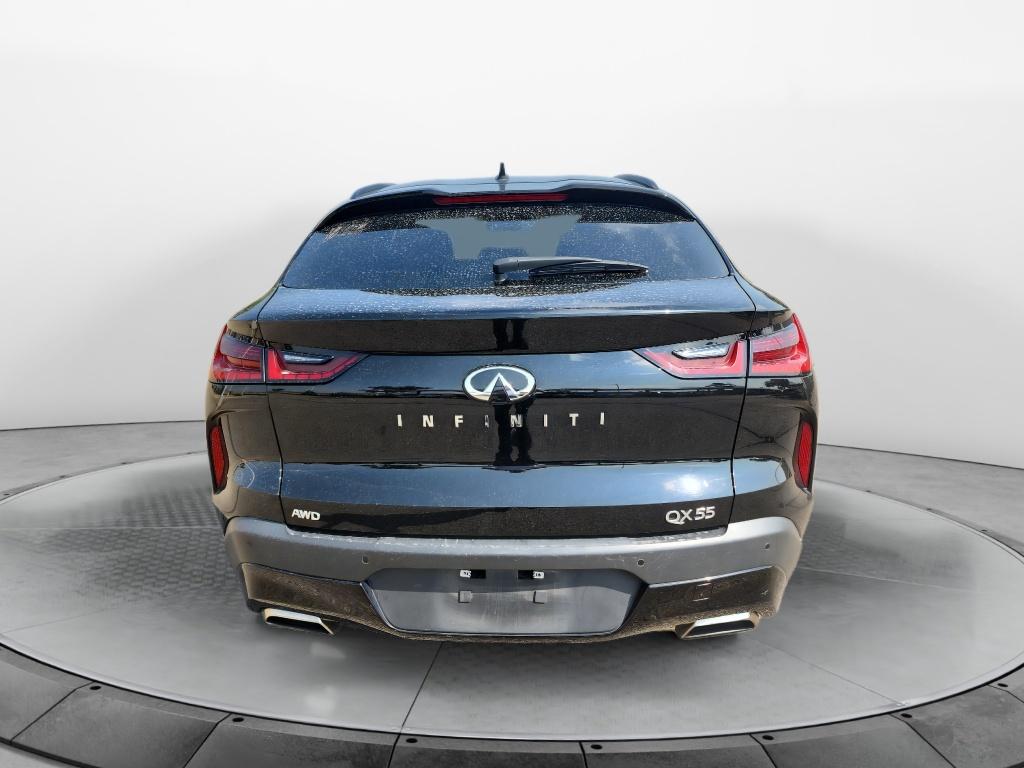 2024 Infiniti QX55 Luxe photo 6