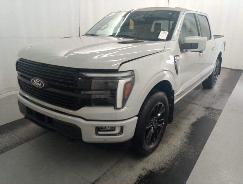 2024 Ford F-150 Platinum photo 2