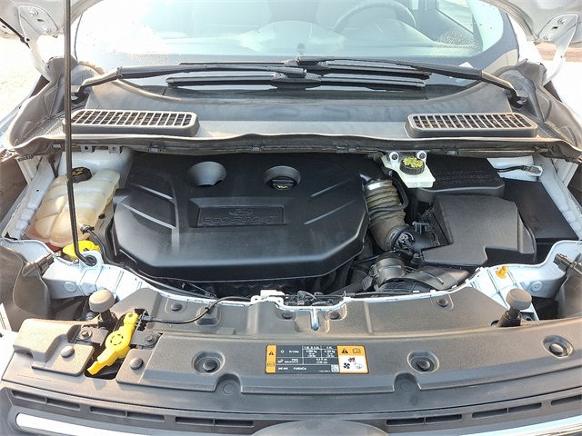 2014 Ford Escape SE photo 27