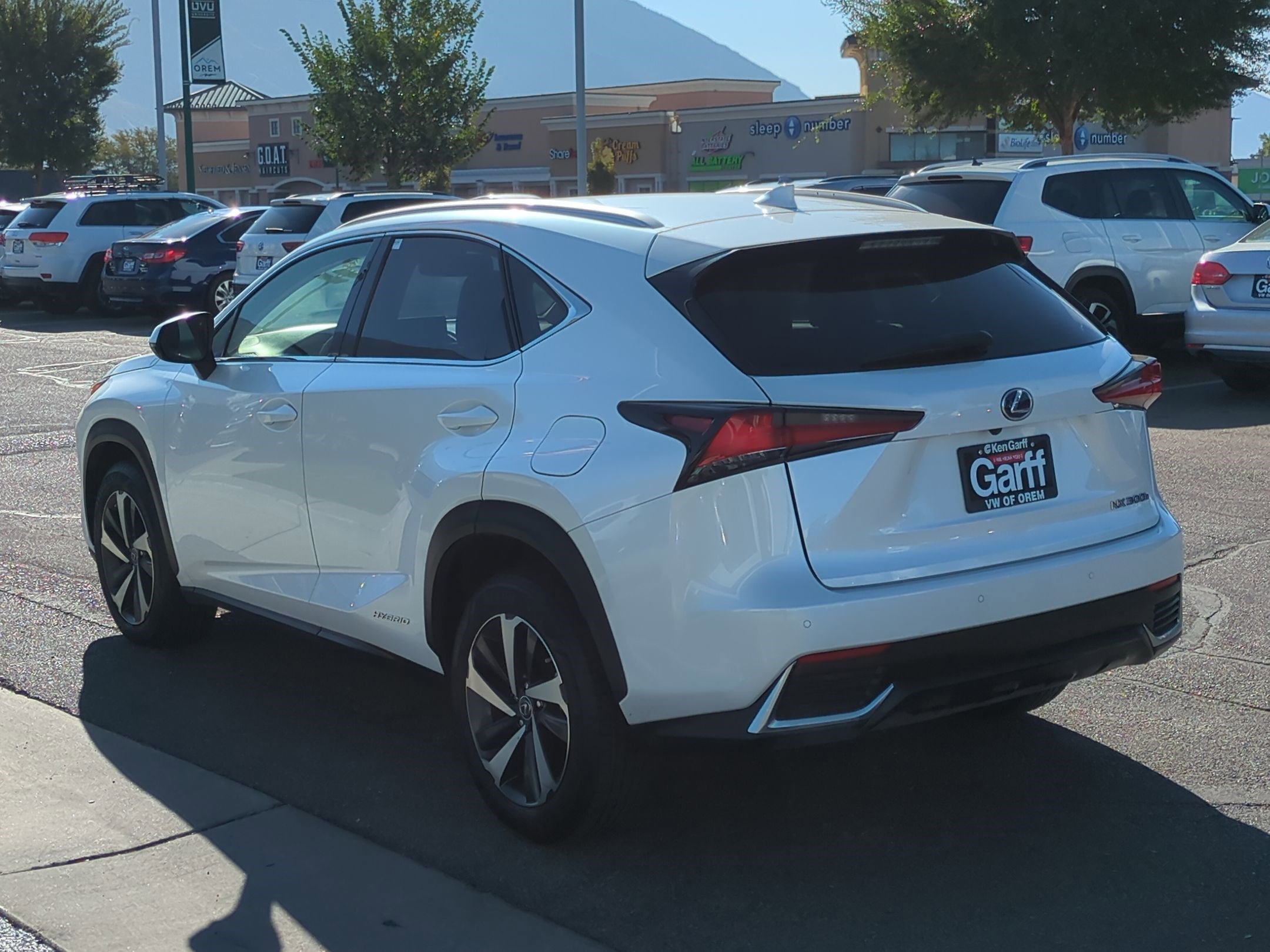 2021 Lexus NX 300h photo 4