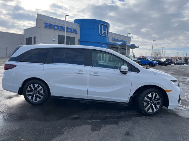 2026 Honda Odyssey EX-L's photo