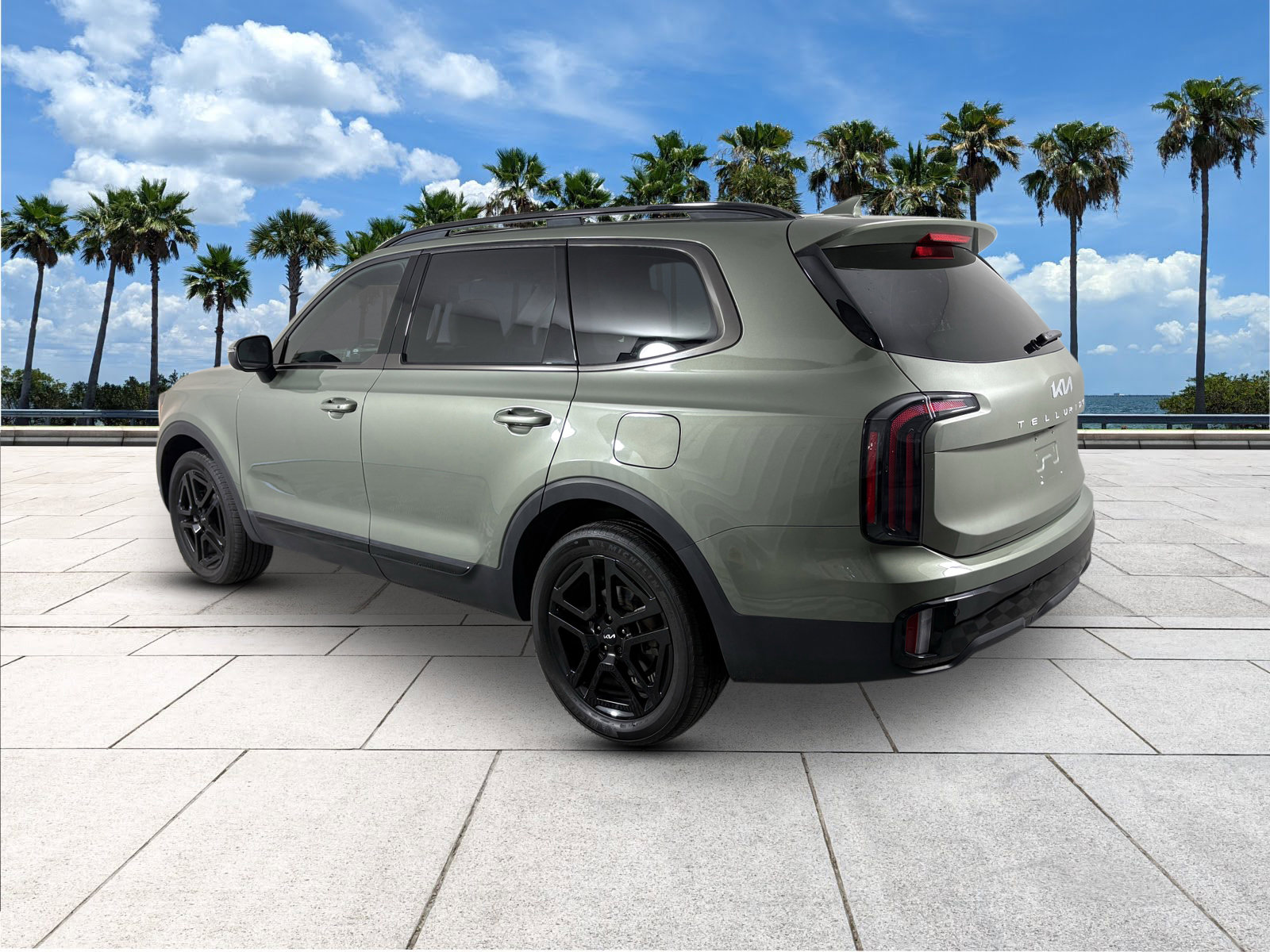 2024 Kia Telluride EX X-Line photo 5