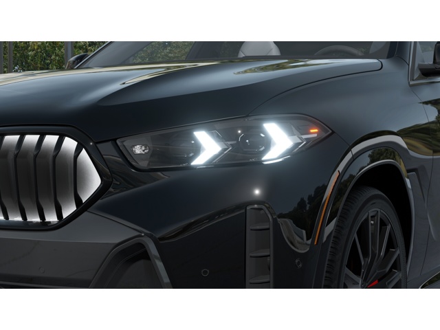 2026 Bmw X6 xDrive40i photo 4